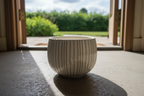 Modern Ribbed Ceramic Planter Bowl